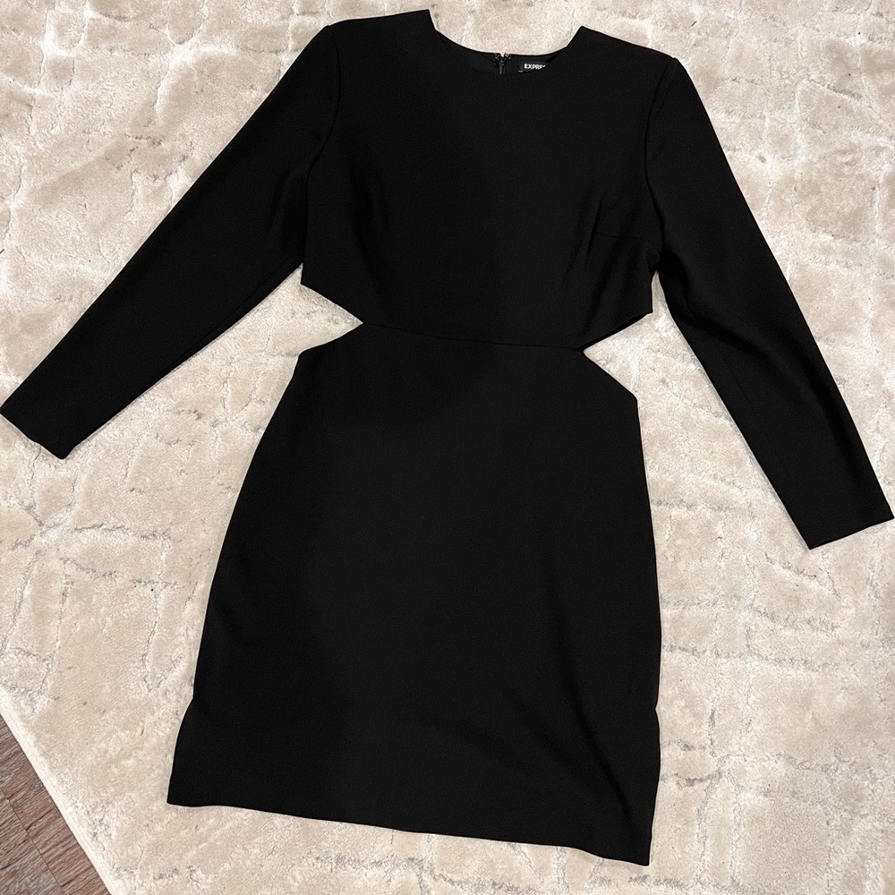 Express Side Cut Mini Dress